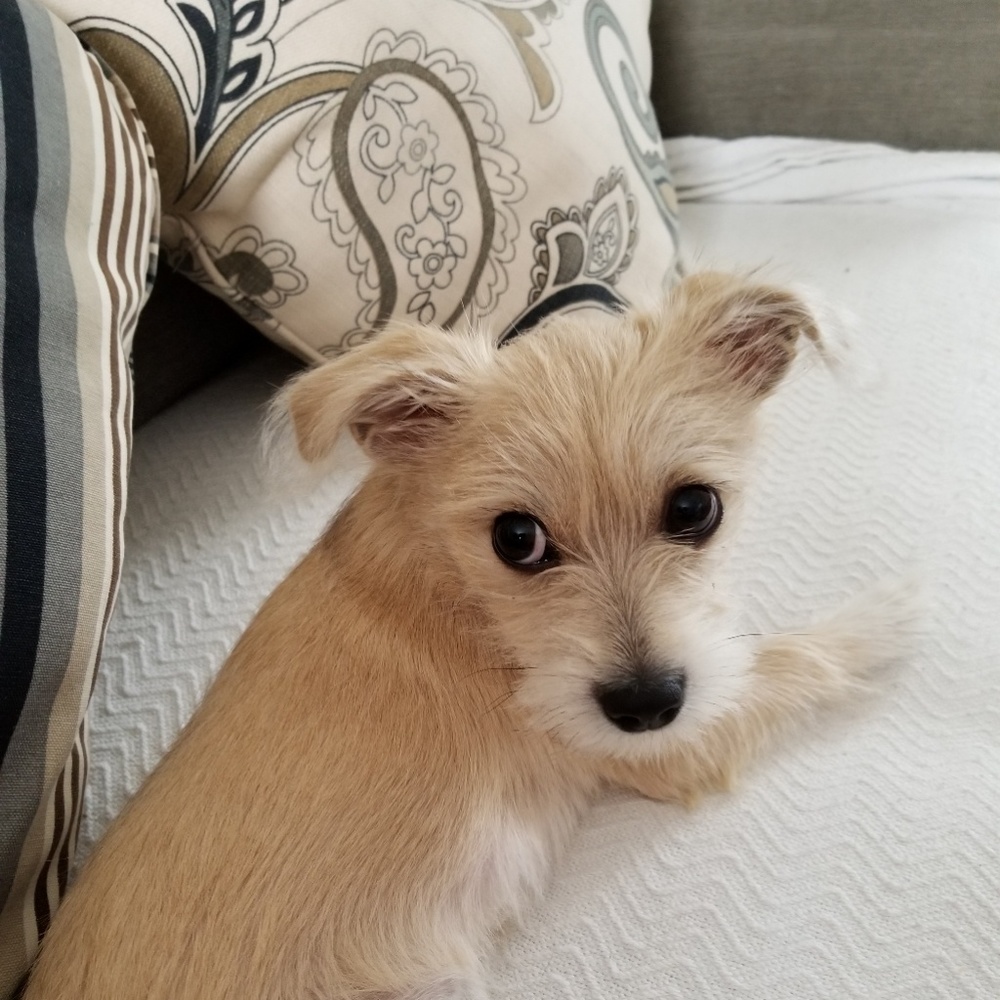 Meet your Posher, Loretta